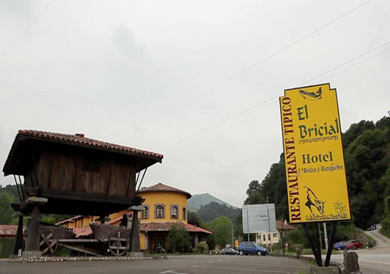 Hotel El Bricial Soto De Cangas Luaran gambar