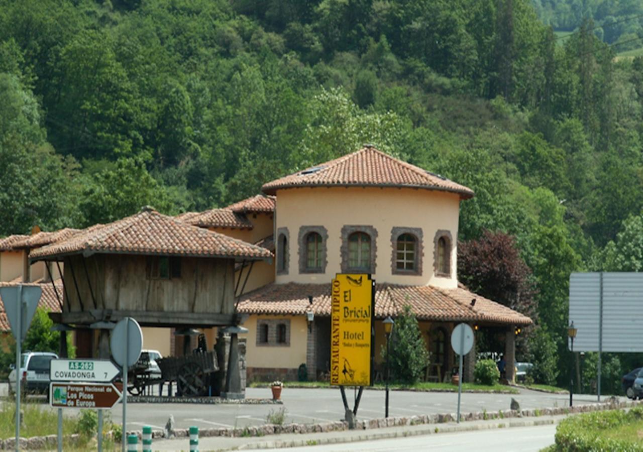Hotel El Bricial Soto De Cangas Luaran gambar